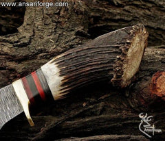 Handle view of the Damascus steel hunting knife showcasing the genuine stag horn.