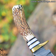 Damascus Steel Gut Hook Knife For Skinning Hunting 9 inch Fixed Blade Stag Handle Leather Sheath