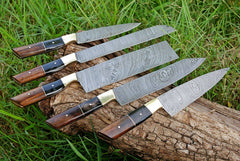 Professional 5 Piece Damascus Chef Knife Set