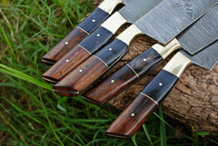 Professional 5 Piece Damascus Chef Knife Set