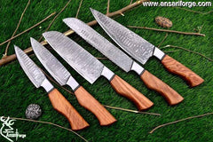 Handmade knife set - Best Damascus steel chef wonderful knife set of 5 kitchen knives with custom bag .