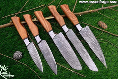 Handmade knife set - Best Damascus steel chef wonderful knife set of 5 kitchen knives with custom bag