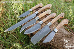 Professional Chef Knives Set With Case Damascus Steel 6 Pcs