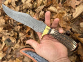 Handmade Forged Damascus Steel Hunting Knife EDC With Original Stag Antler Handle