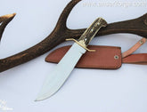 Custom handmade D2 steel Stag handle Bowie Knife