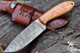 Hand Forged Damascus Steel Hunting Knife with Leather Sheath, Olive Wood Handle - 9 Inches Full Tang Multipurpose Fixed Blade Skinner Knife AF102