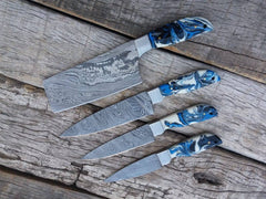 Professional Damascus Chef Knife Set 4 kitchen Knives With Case / Roll bag