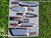 Damascus steel Best Chef knife Set With Case