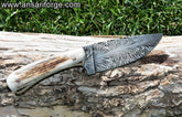 Feather Damascus hunting knife stag horn handle