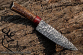 Beautiful Norsemen Custom Handmade D2 Steel Knife Hand Forged Hunting knife Stag Horn Handle Gift for him