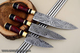 3 PCS Fancy kitchen knives set with leather bag