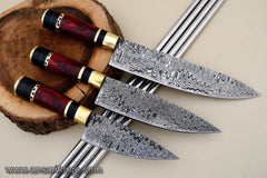 3 PCS Fancy kitchen knives set with leather bag