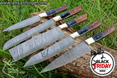 Professional 5 Piece Damascus Chef Knife Set