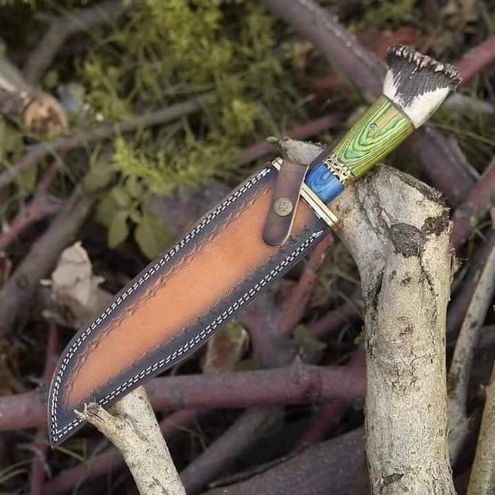 14 Inches Stag Handled Custom Bowie Knife D2 Full Tang Fixed Blade Hunting Knife With Leather Sheath