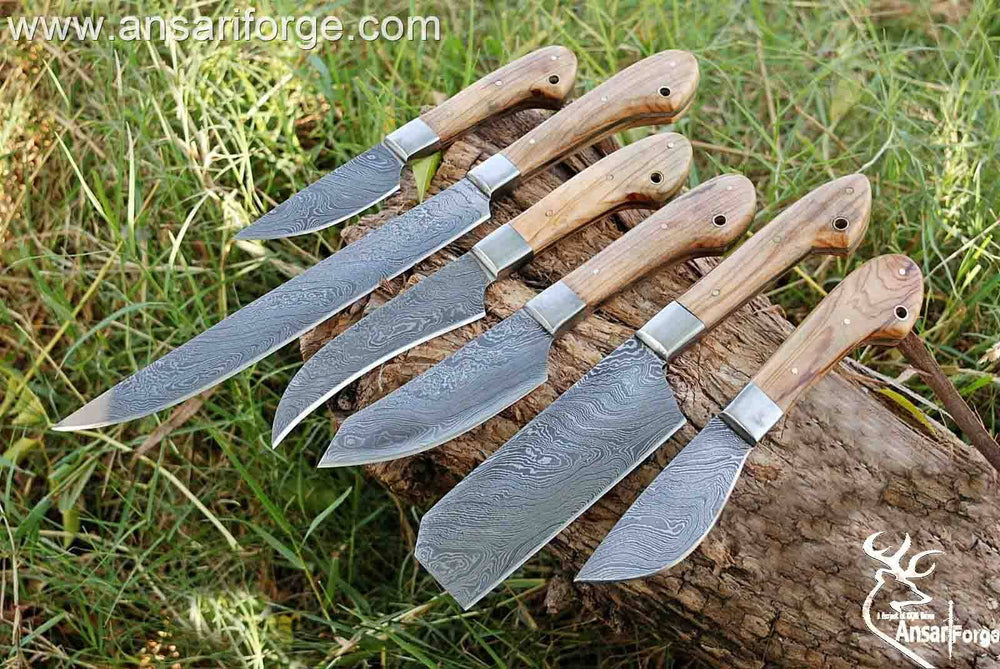 Professional Chef Knives Set With Case Damascus Steel 6 Pcs
