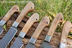 Professional Chef Knives Set With Case Damascus Steel 6 Pcs
