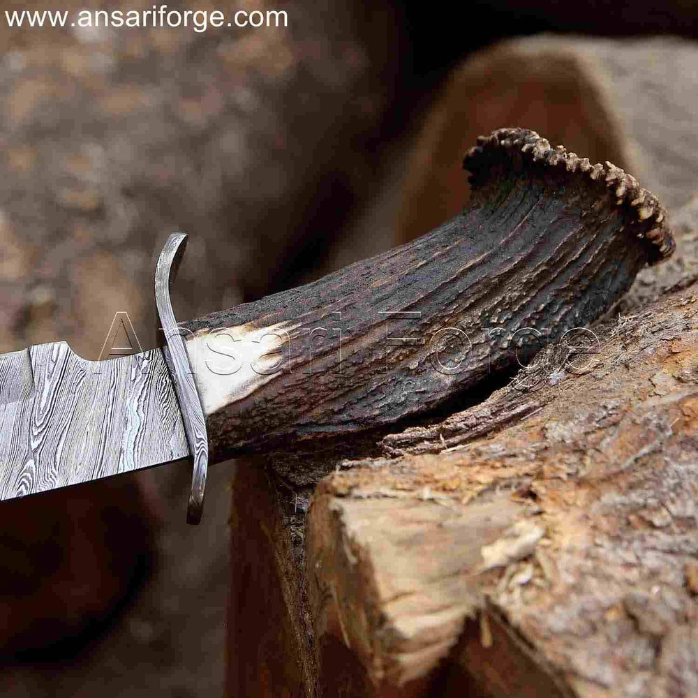 Stag antler handle of hand forged Damascus Bowie knife.