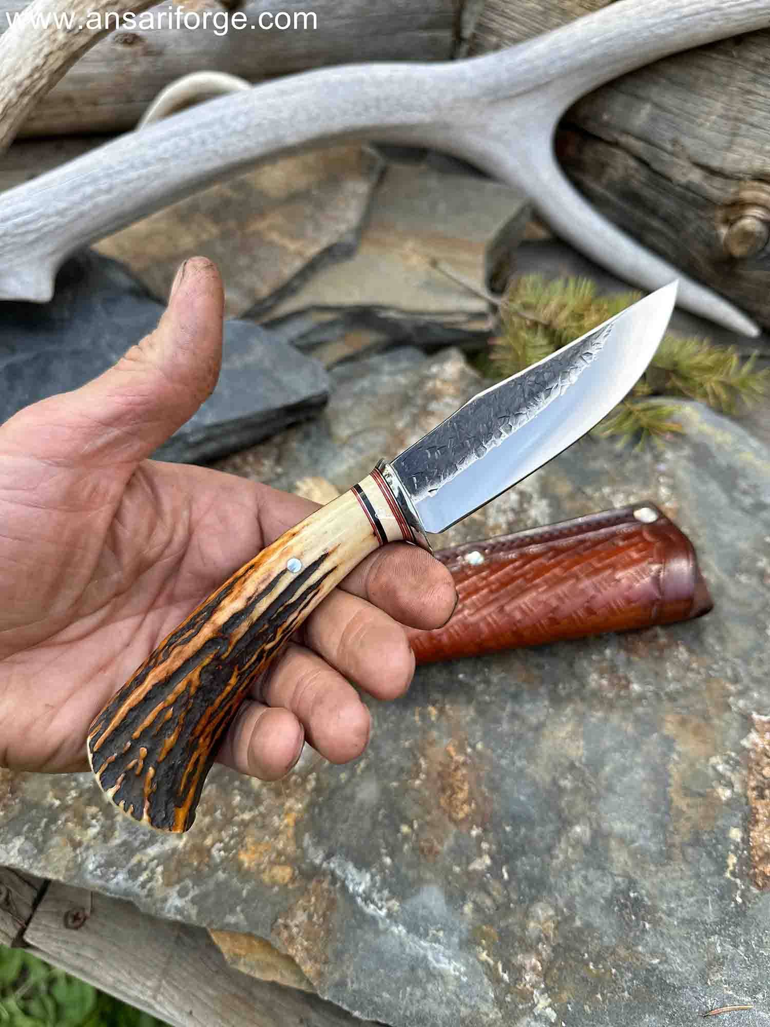 Piscator Avis Hand-Forged Bird And Trout Knife with Stag Antler Handle