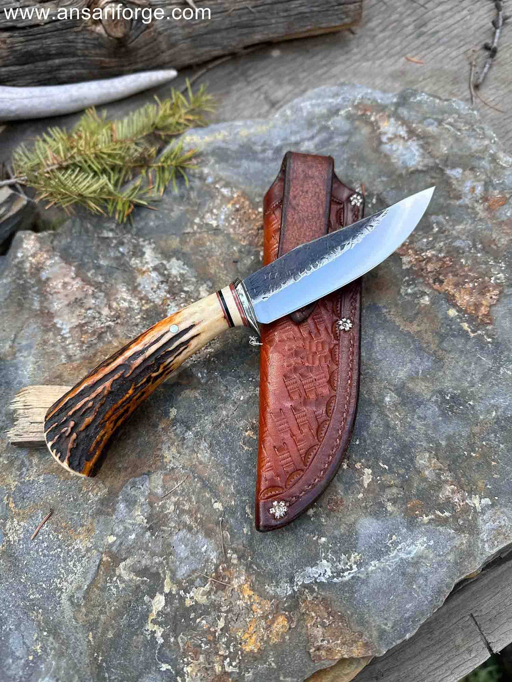 Piscator Avis Hand-Forged Bird And Trout Knife with Stag Antler Handle