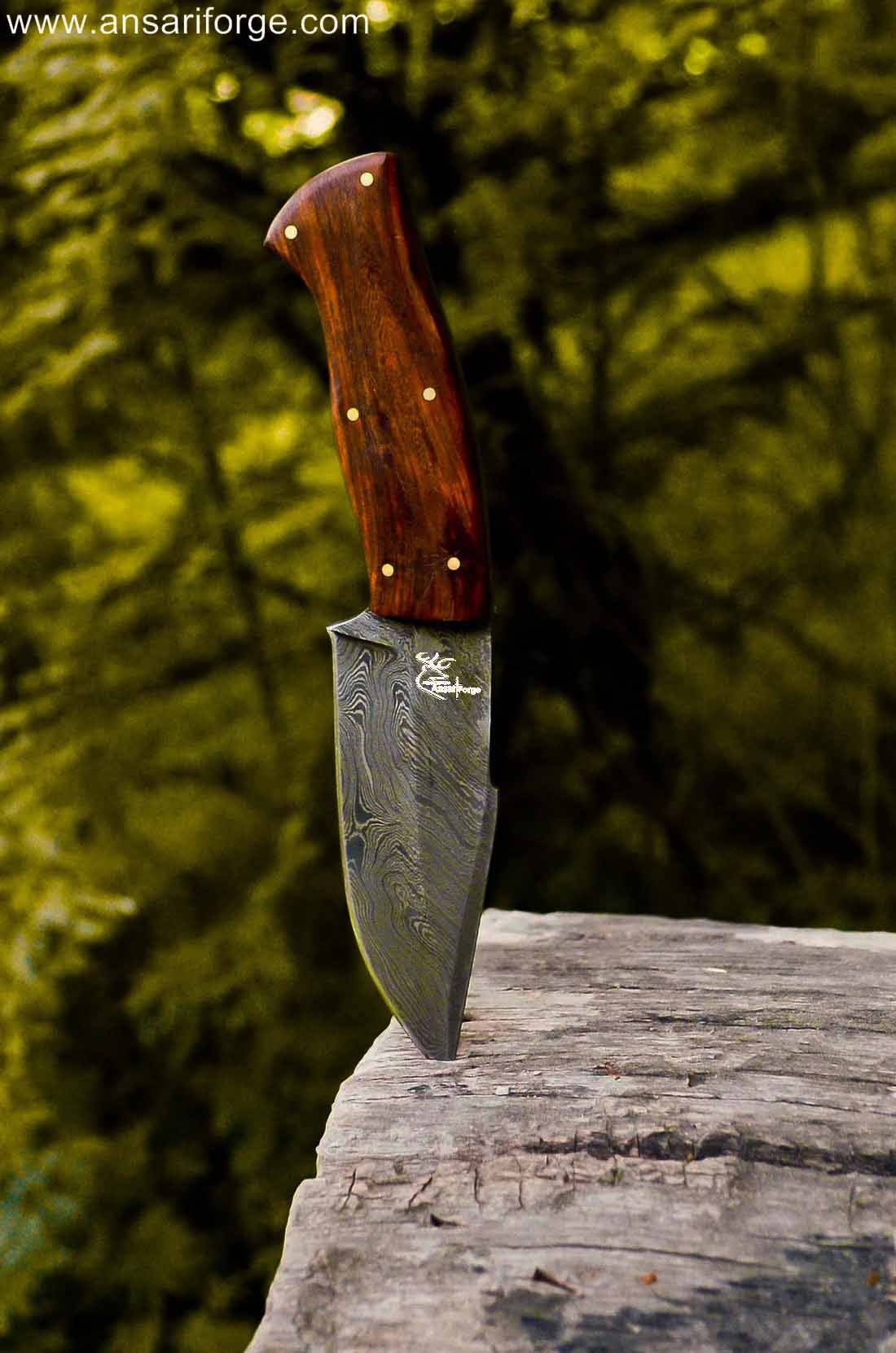 Best Fixed Blade Knife: Hunter Damascus Steel Fixed Blade Knife with Sheath