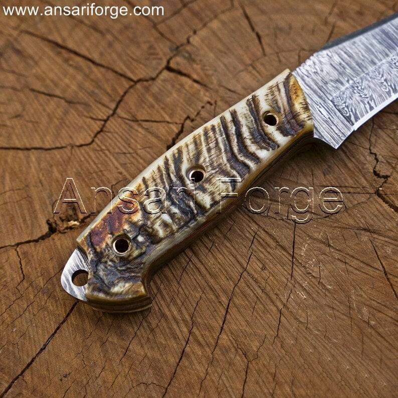 MArkhor Hunter Damascus Steel Knife With Himalayan Sheep Horn Handle