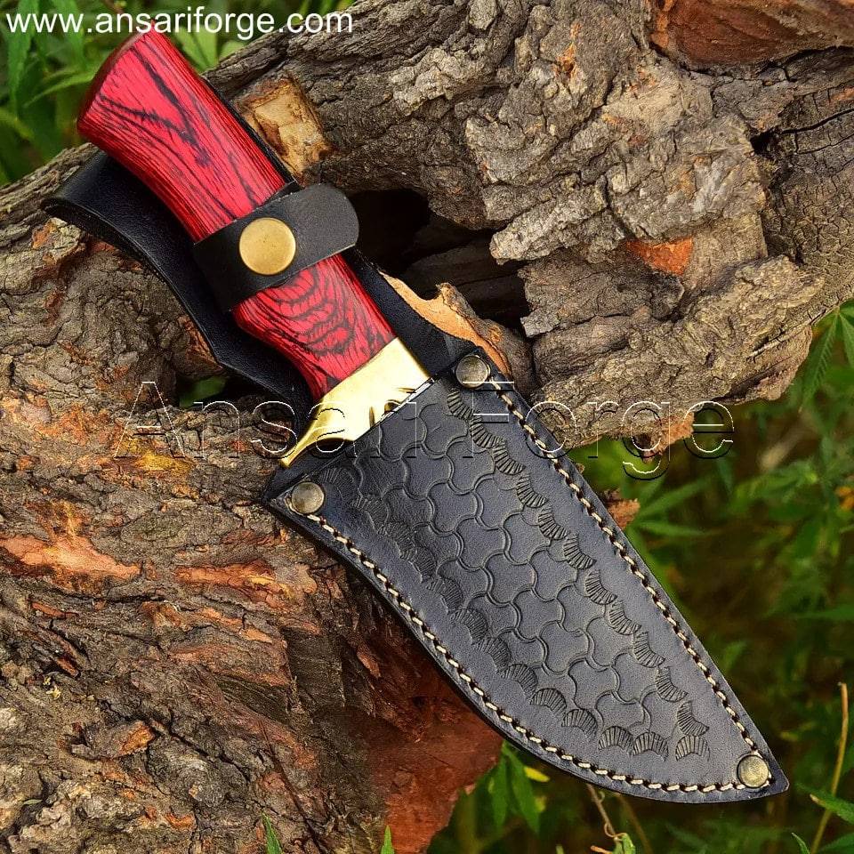 Ruby Ranger 9" Damascus Steel Fixed Blade Gut Hook Knife With Leather Sheath
