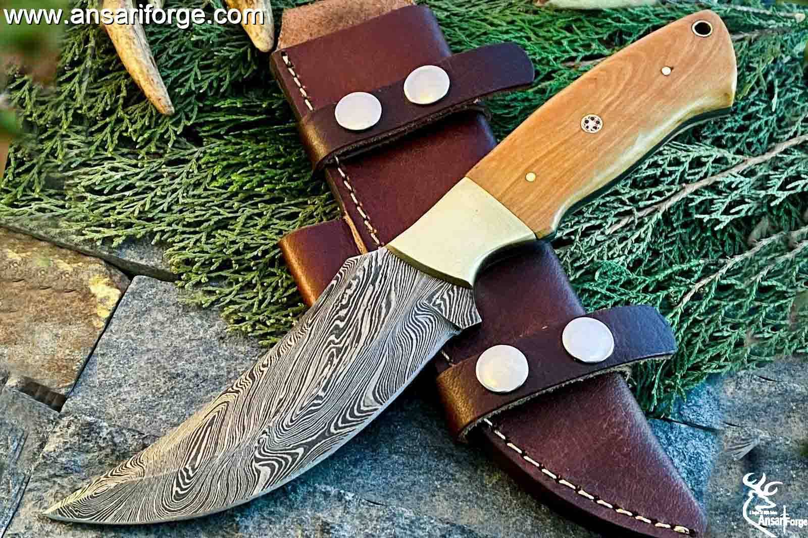 Handmade Damascus steel hunting knife olive wood handle and leather sheath