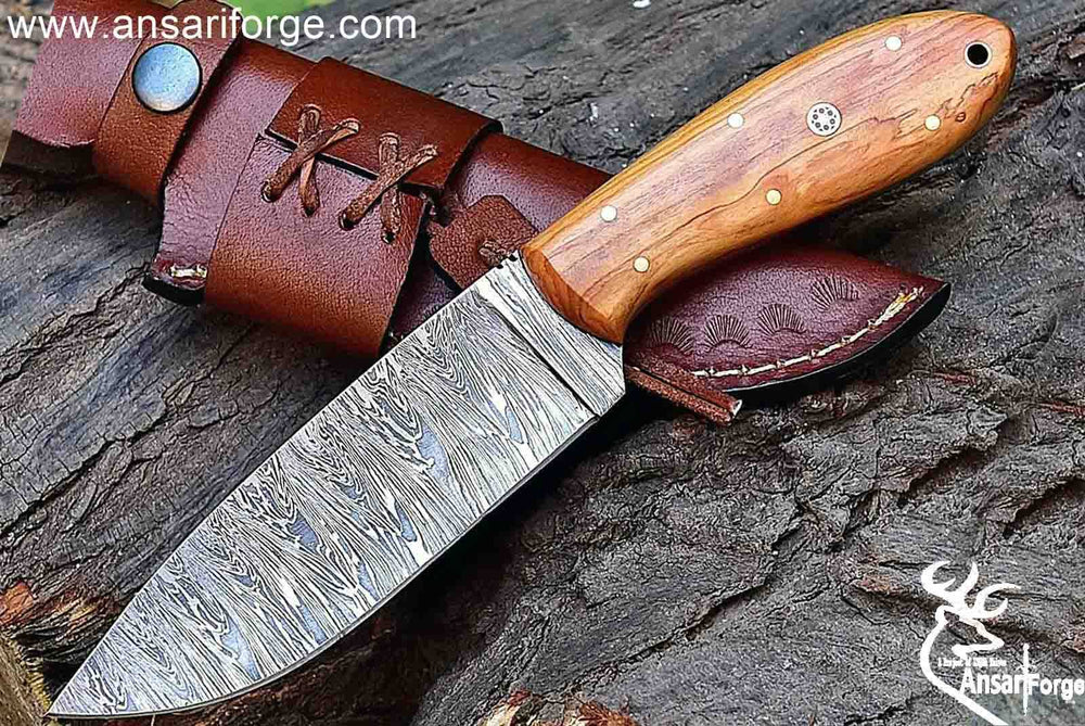 Hand Forged Damascus Steel Hunting Knife with Leather Sheath, Olive Wood Handle - 9 Inches Full Tang Multipurpose Fixed Blade Skinner Knife AF102