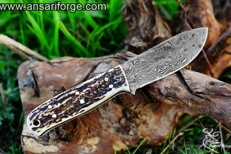 Damascus steel hunting knife with stag handle