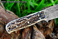 Damascus steel hunting knife with stag handle