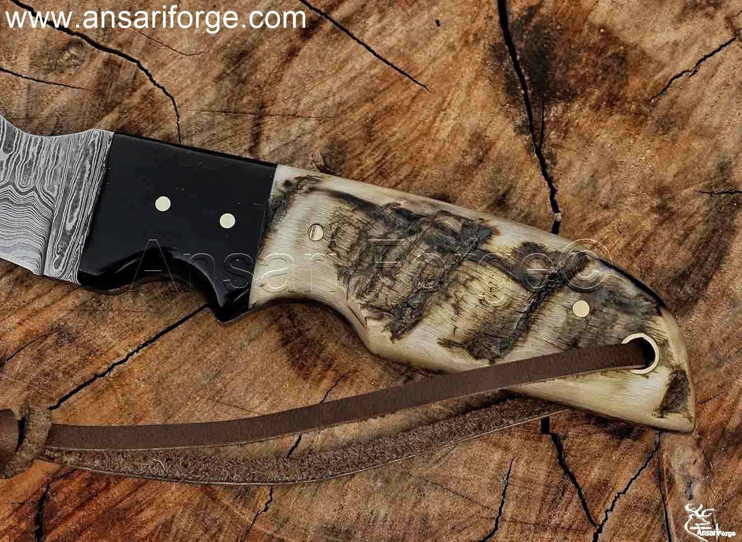 Sheep horn handle of Damascus hawkbill knife.