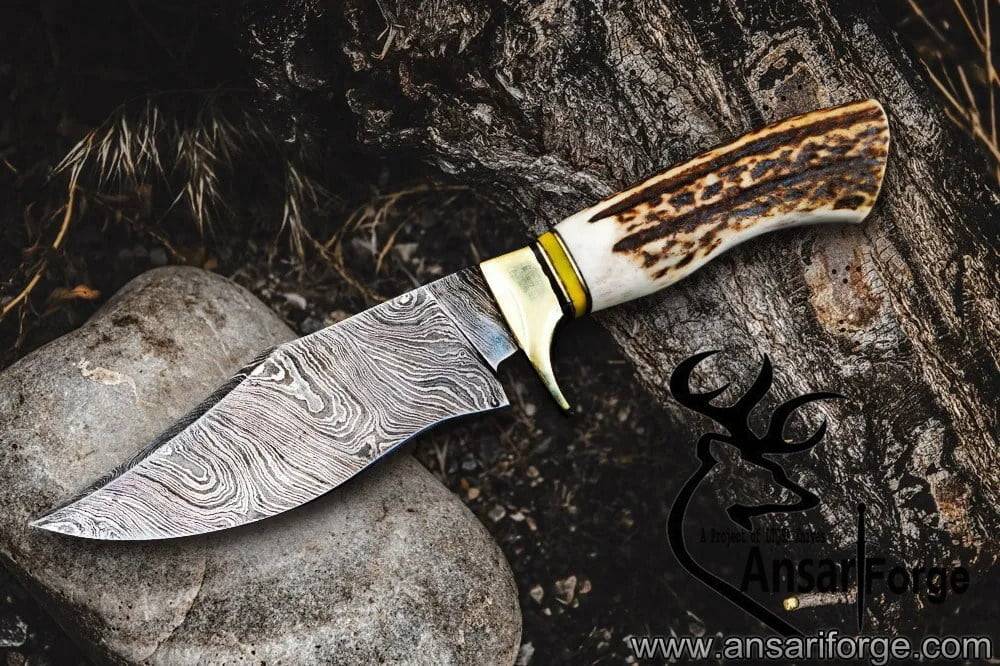 Damascus forged hunting knife stag antler handle