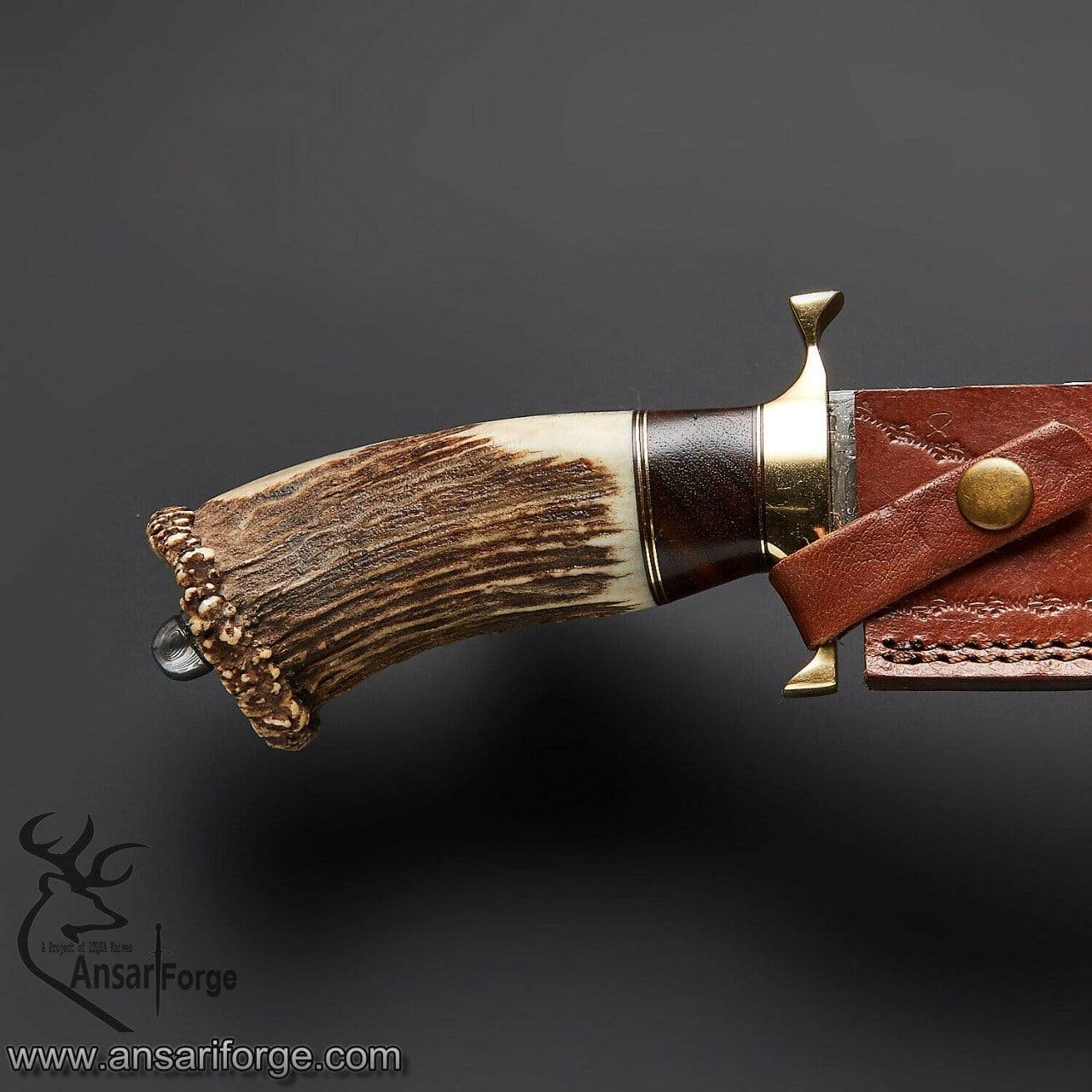 Damascus steel Stag handle Bowie hunting knife
